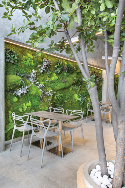 Ed ProjectGallery Tbar Image2 2