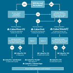 CaberFloor flowchart 2021